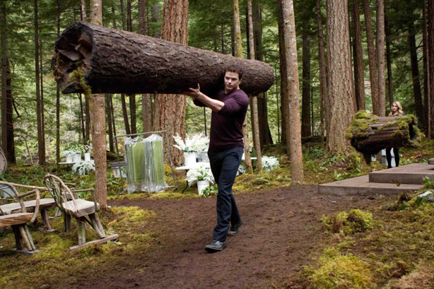 http://www.twilightlexicon.com/wp-content/repsaj/2011/10/kellan-nikki-logs.jpg