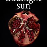 Midnight Sun Cover